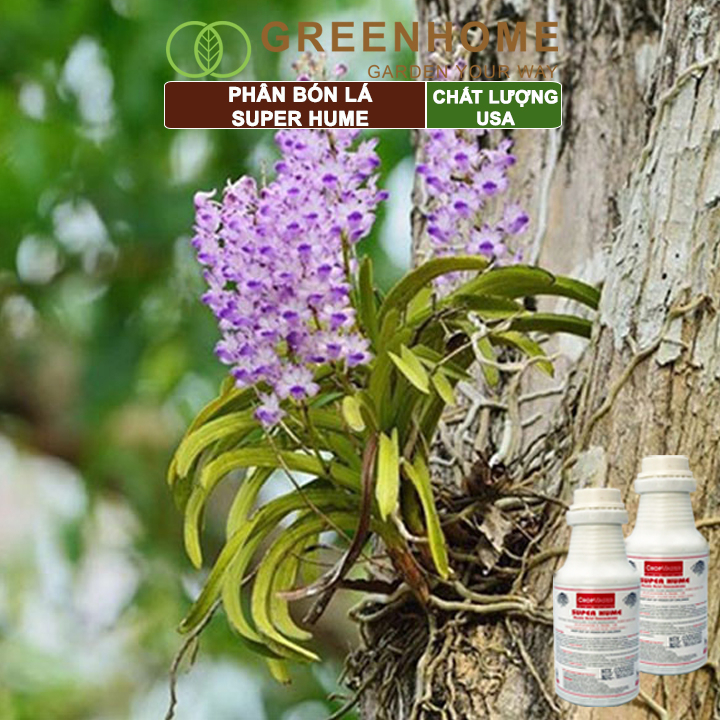 Phân bón lá Greenhome super Hume, chai 250ml, kích rễ, đâm chồi, đẻ nhánh khoẻ