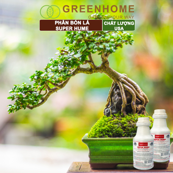 Phân bón lá Greenhome super Hume, chai 250ml, kích rễ, đâm chồi, đẻ nhánh khoẻ