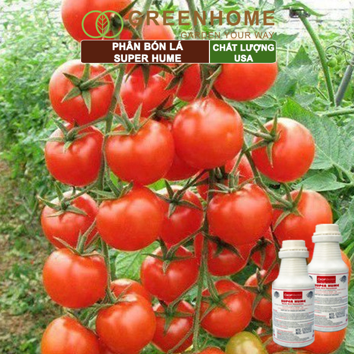 Phân bón lá Greenhome super Hume, chai 250ml, kích rễ, đâm chồi, đẻ nhánh khoẻ