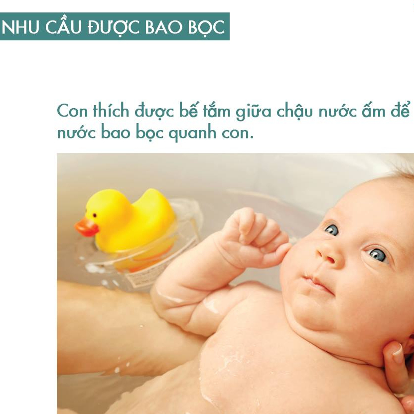 Sách - Chuyến phiêu lưu của những bước đi (Hướng dẫn bài bản cho cha mẹ giúp trẻ tập những bước đi đầu)