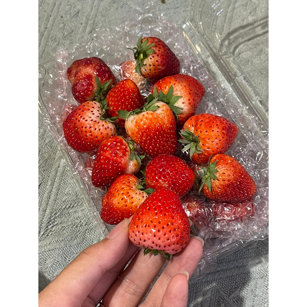 Dâu tây Hana - Sapa thơm ngọt size bi to, hộp 250g [Ảnh thật]