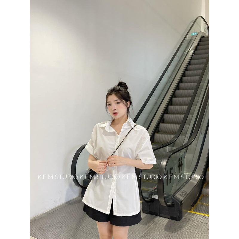 Set sơ mi cổ cức cộc tay