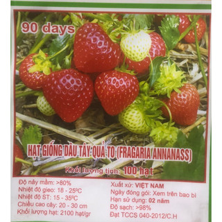 Hạt giống Dâu Tây Đỏ chịu nhiệt (100H) ☘️
