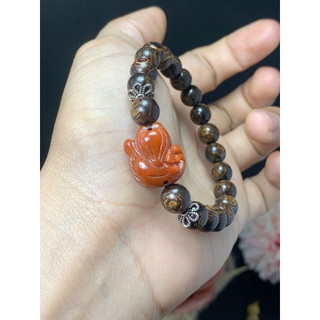Trầm sánh mix hồ ly ngọc