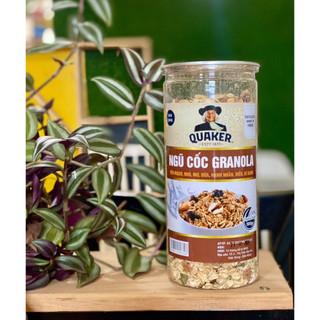 Ngũ cốc ăn liền Granola siêu ngon