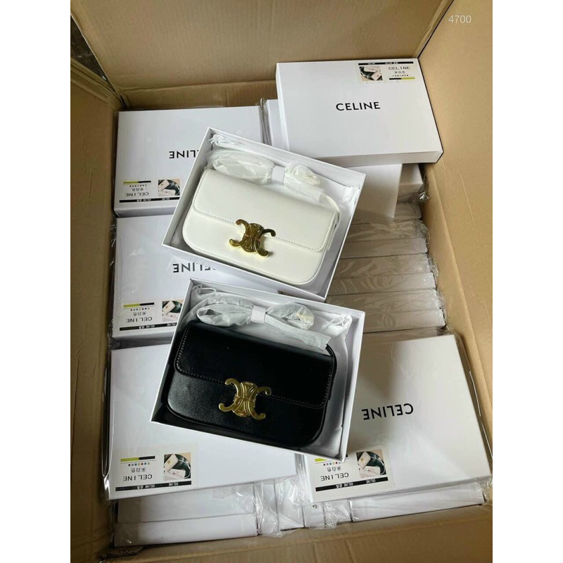 Túi Cê.linnn Fullbox sz22