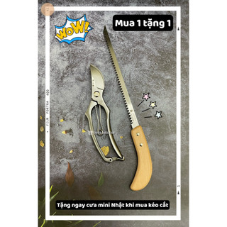 Mua 1 kéo cắt tặng ngay 1 cưa mini nhật - kéo nhật thép trắng chống gỉ chuyên cắt cành tỉa cây và bonsai
