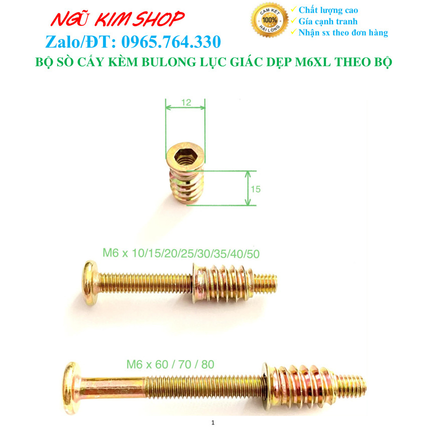 SÒ CẤY KÈM BULONG LỤC GIÁC DẸP M6 x L THEO BỘ