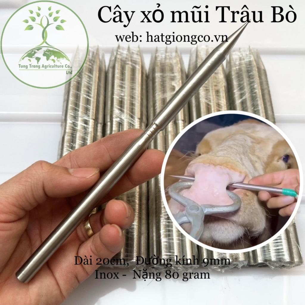 Cây xỏ mũi Bò inox không gỉ