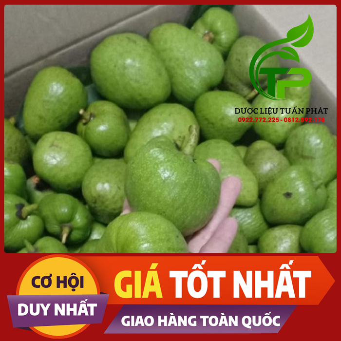 1kg Trái Bình Bát tươi - Hỗ trợ chữa bướ.u cổ, Điều trị ti.ểu đư.ờng, đa.u nhứ.c xươ.ng khớp, tay chân nhứ.c mỏi