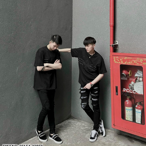 Áo Thun Cotton Nam In Ngôi Sao, Áo Phông Nam Họa Tiết Dio Cao Cấp