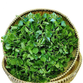 HẠT GIỐNG RAU DỀN CƠM- GÓI 5GR