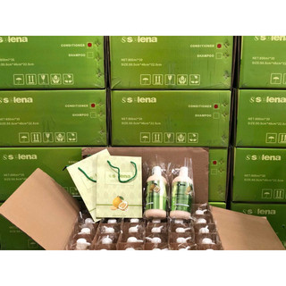dầu gội xả bưởi 800ml