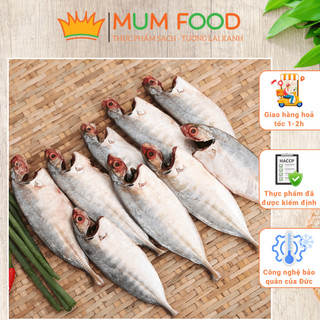 Cá bạc má nguyên con làm sạch - hải sản cao cấp - mumfood store - họ cá thu ngừ, chế biến được nhiều món ngon - khay 1kg