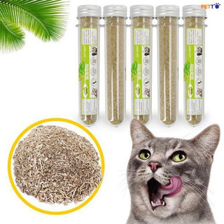 Cỏ Bạc Hà Catnip Cho Mèo