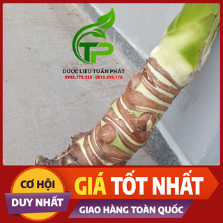 Củ Ráy tươi 1kg