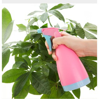 Bình xịt tưới cây Bình xịt đa năng 0,5lít