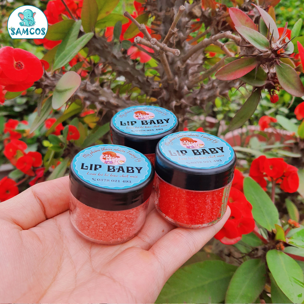 Tẩy tế bào da chết môi Tường Vy Lip Baby 50g làm hồng, chống nẻ, khử thâm môi luôn căng mọng SamCos