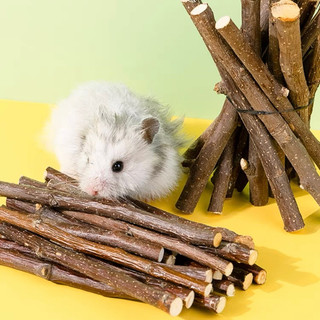 Cành táo mài răng cho hamster