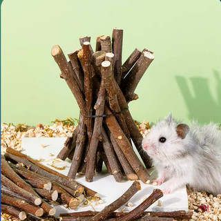 Cành táo mài răng cho hamster