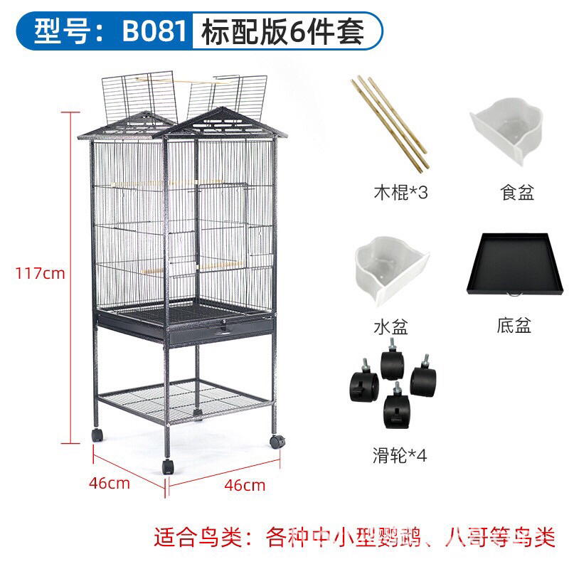 lồng vẹt,chim,sóc,chồn