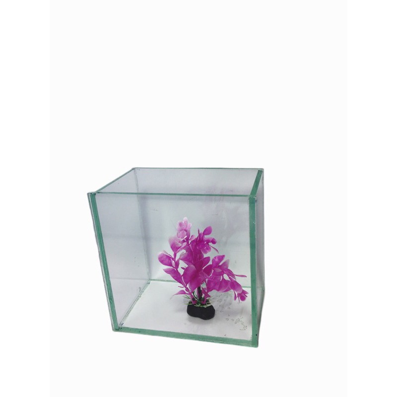 BỂ CÁ MINI KÍCH THƯỚC 15-10-15