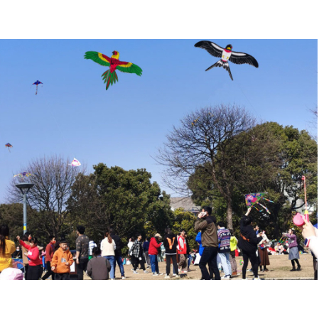 Đồ Chơi Diều Cần Câu Cho Bé Họa Tiết Hoạt Hình Dễ Thương Kèm Cần Câu Và Dây Thả 30M