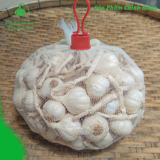 Tỏi Lý Sơn Củ To -  chính gốc 100%  - chất lượng - được gửi từ đảo lý sơn