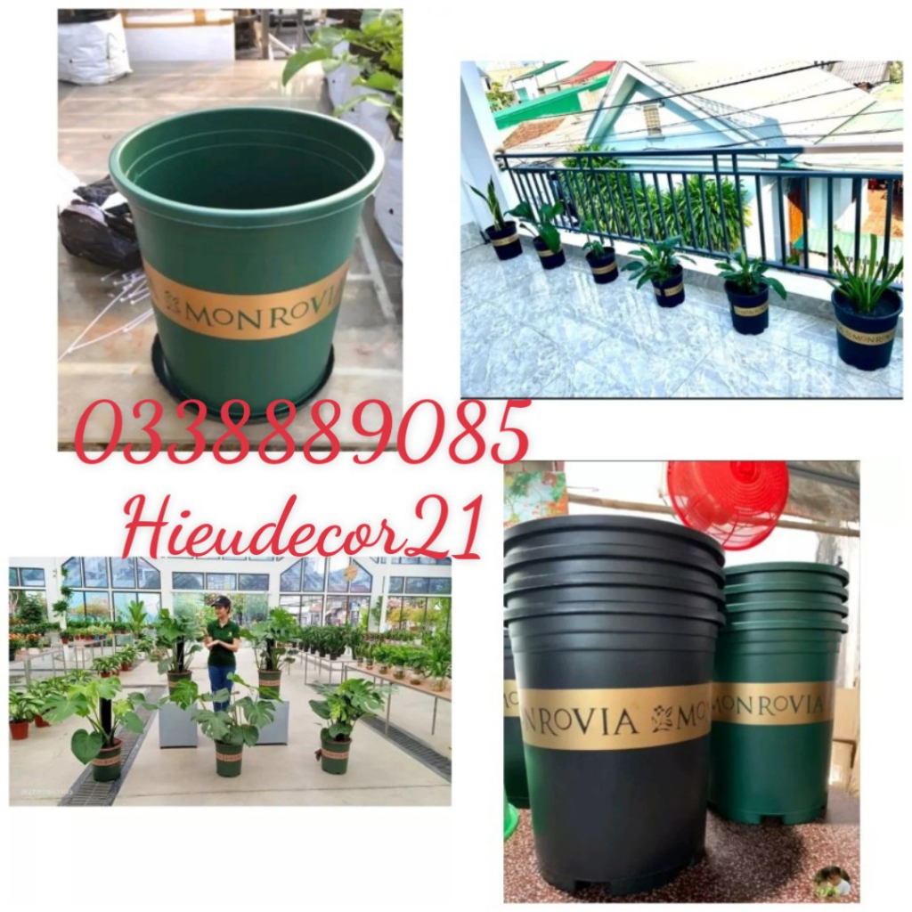 Chậu trồng cây monrovia hàng dày dặn in sắc nét
