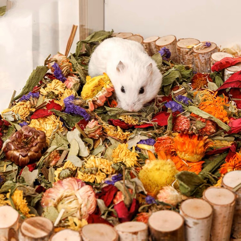 Thức ăn cho hamster - Hoa khô giảm stress, giải nhiệt, trang trí, hoa khô mix lót chuồng khử mùi cho hamster