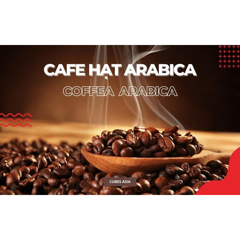 Cà phê Arabica 100% Không Mix vị chua nhẹ đắng nhẹ thơm dùng pha phin pha máy cafe