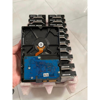 Ổ cứng (HDD) 1TB WD Black/ Blue