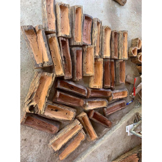 chậu gỗ lũa hình chữ nhật chồng sen đá bonsai chậu để bàn sân vườn