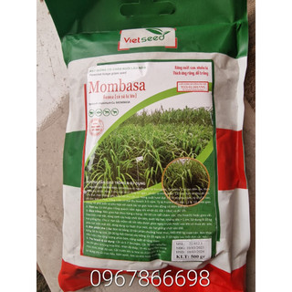 Hạt giống cỏ Mombasa Ghine loại tốt tỉ lệ nảy mầm cao