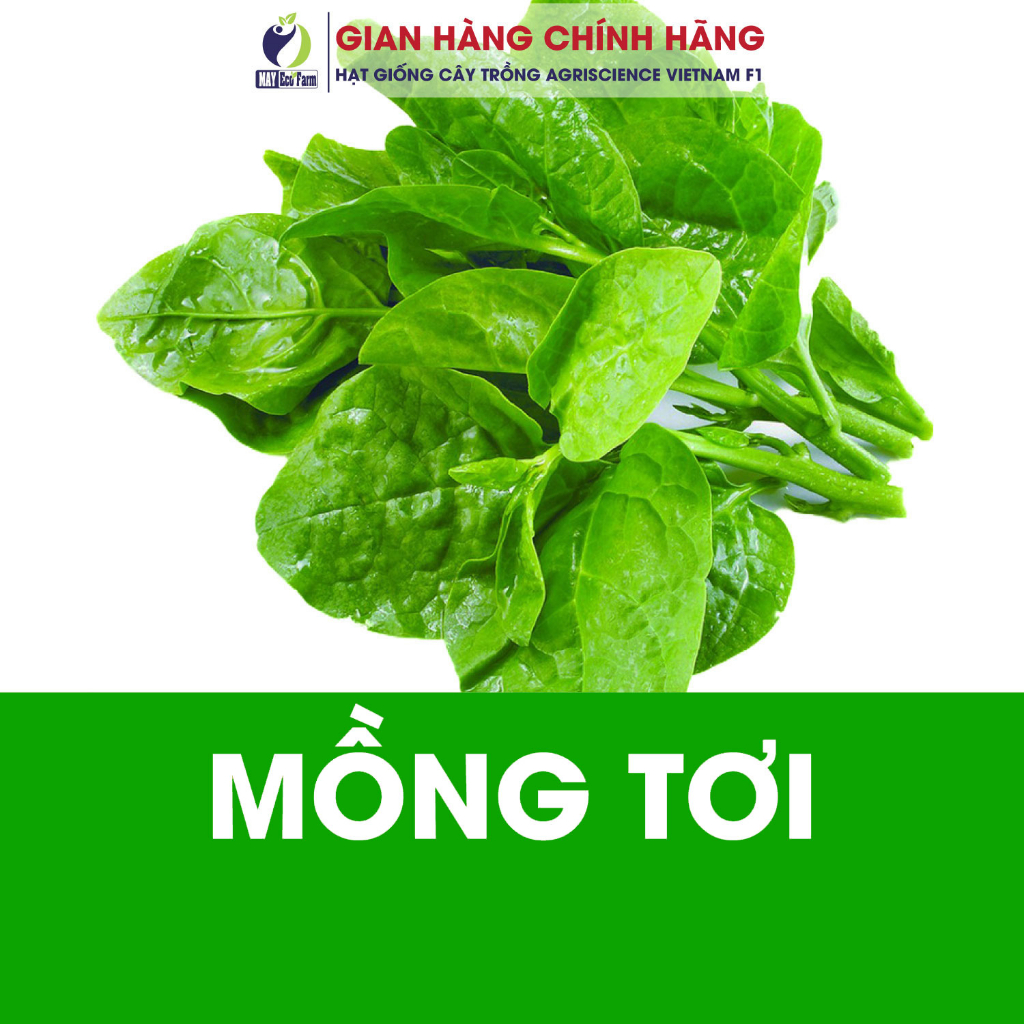 Combo 10 túi ngẫu nhiên : cải ngọt, rau dền, cải thìa, cà chua, dưa leo, đay, ngò, mồng tơi, đậu cove, muống  h2t farm