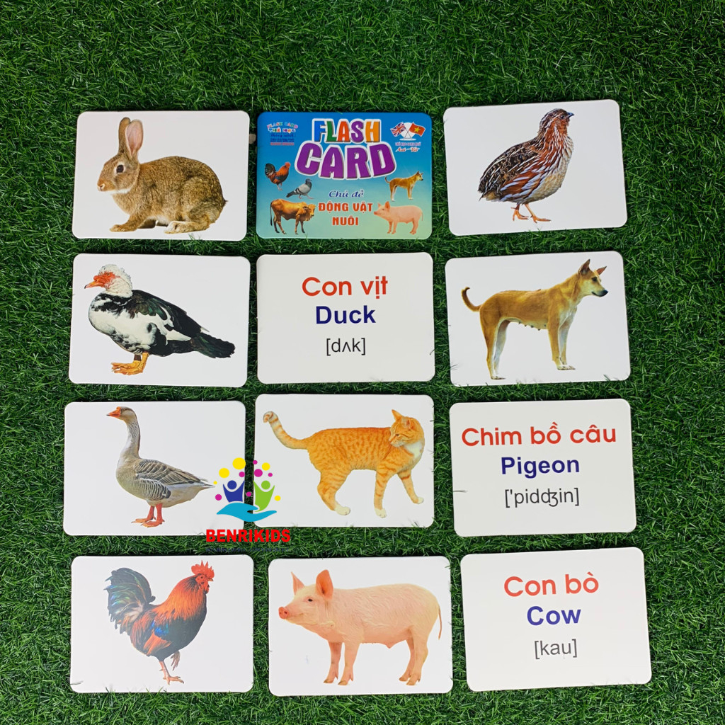 Thẻ Học Flashcards Thông Minh Song Ngữ Bibo Chủ Đề Động Vật Nuôi Cho Bé