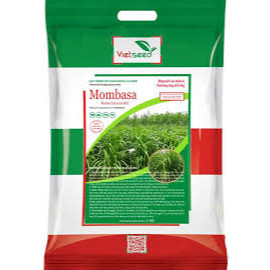 Hạt giống cỏ sả lá lớn MomBasa Ghine loại 1 tỉ lệ nảy mầm cao