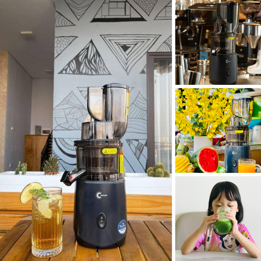 Máy ép trái cây chậm GESUN G500 240W, ép kiệt bã 98%, máy ép các loại rau củ quả và làm kem tươi