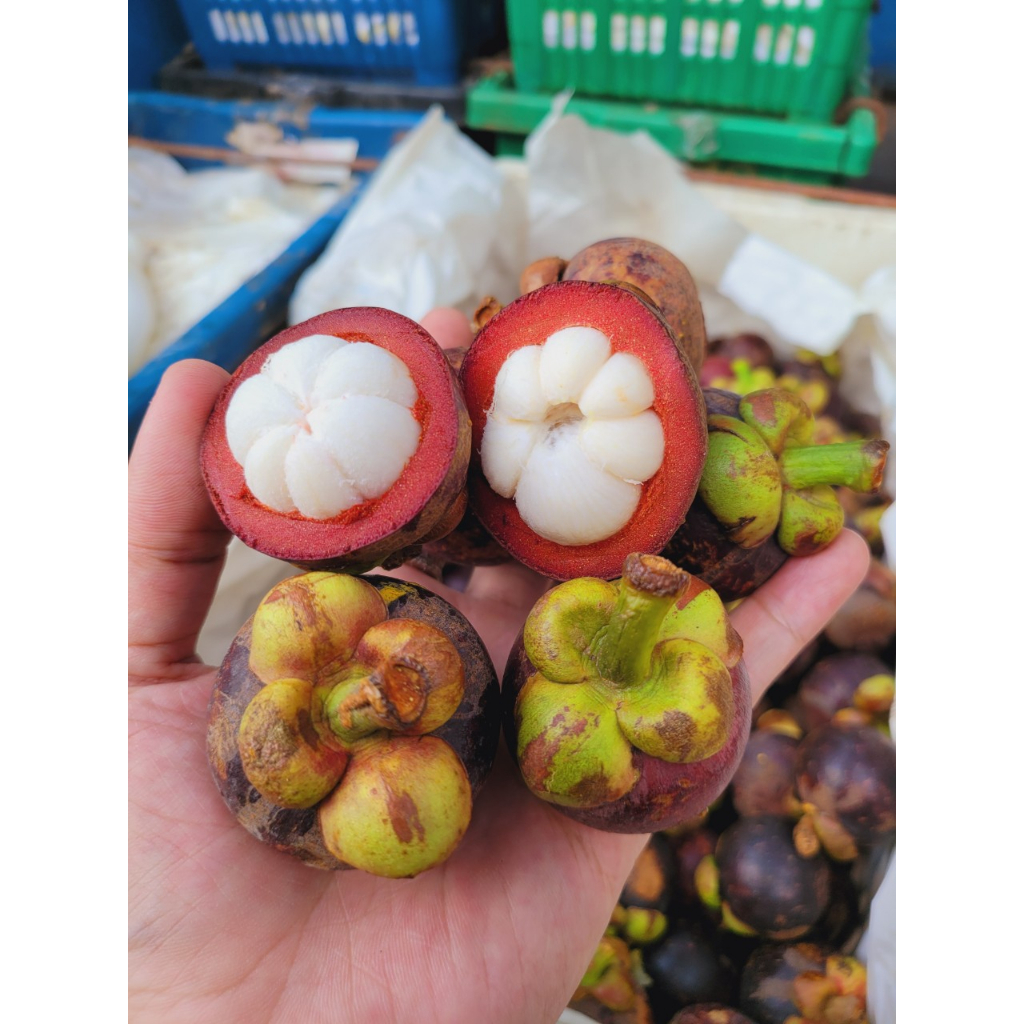 1kg Măng Cụt Thái ngọt không hạt