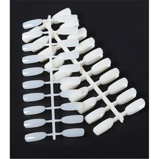 Móng mẫu 2 fom vuông đục và trong - móng mẫu tập sơn