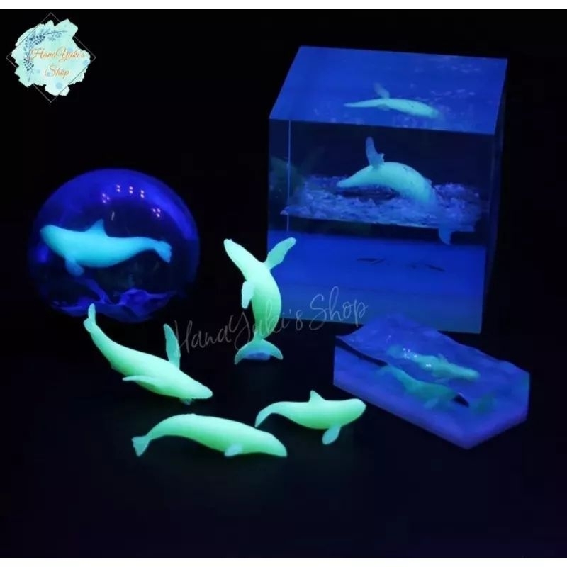 10 mẫu mô hình cá voi lưng gù dùng trang trí trong thủ công Resin....