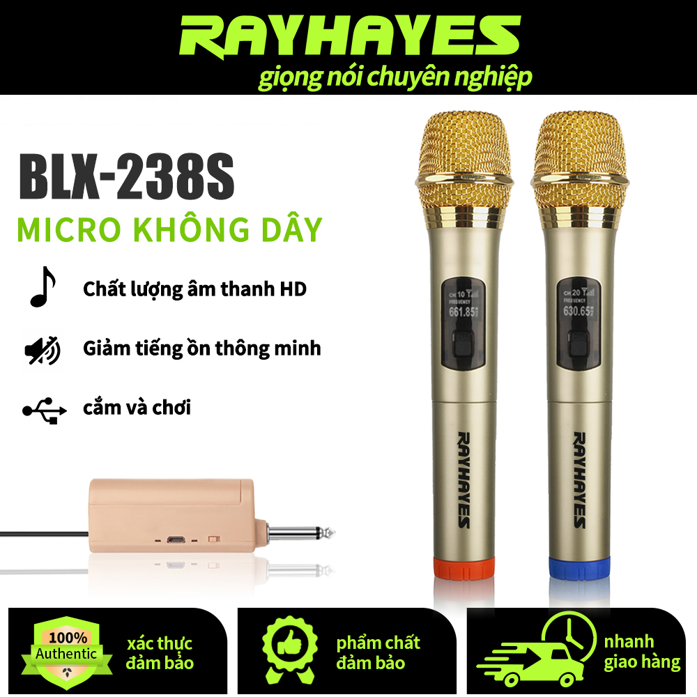 RAYHAYES Micro Không Dây Kép Cầm Tay Cho Videoke Khuếch Đại Loa Bluetooth Hát Karaoke