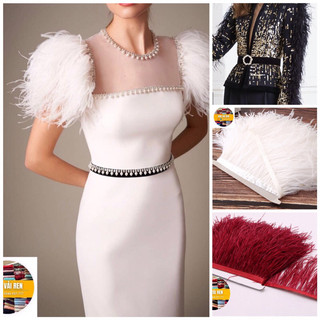 Lông đà điểu nguyên liệu thiết kế thời trang cao cấp
