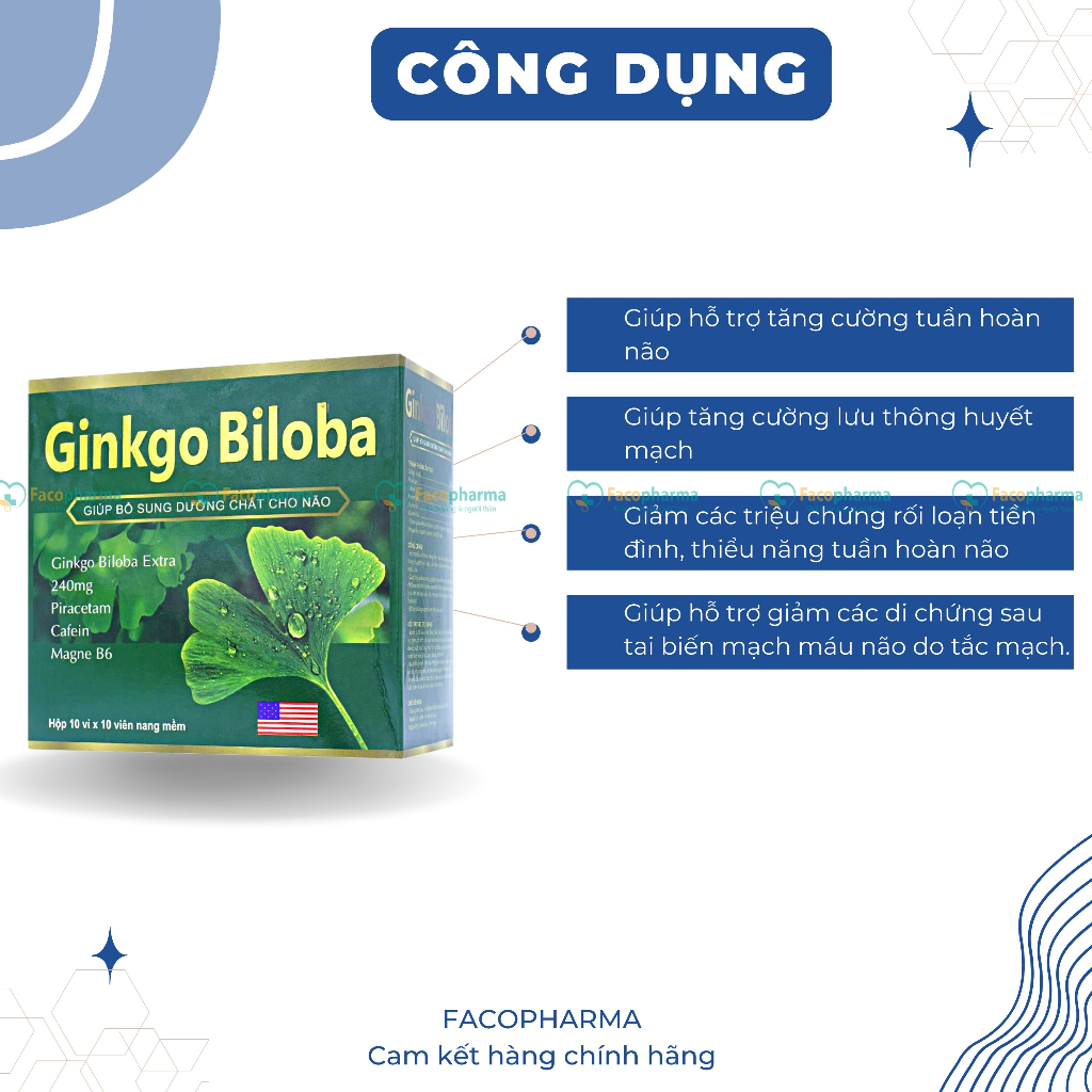 Hoạt huyết dưỡng não Ginko Biloba thực phẩm bổ não giảm mất ngủ đau đầu rối loạn tiền đình hộp 100 viên nang TPN1.2