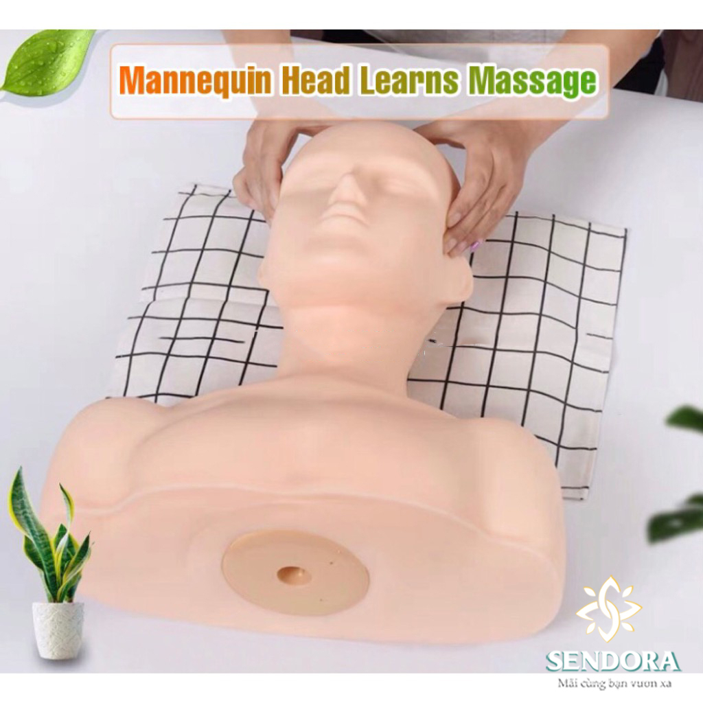 Mô hình người giả manocanh học masage, bấm huyệt spa, đầu canh học massage cổ vai gáy