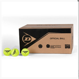 Bóng Tennis Dunlop ATP Championship