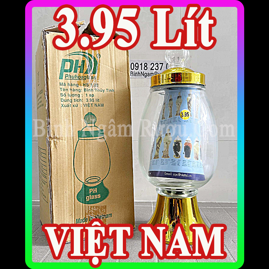PH - 3.95 Lít | Việt Nam | Bình Ngâm Táo Mèo, Ngâm Chuối Hột, Ngâm Nhân Sâm - Sâm Ngọc Linh - [GIÁ SIÊU RẺ]