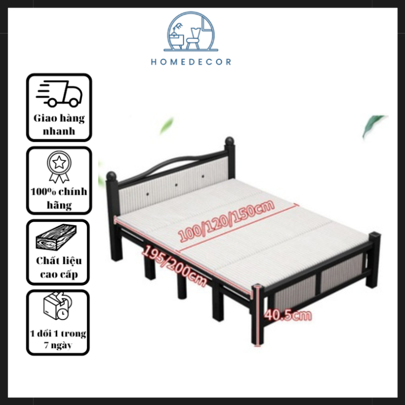 Giường xếp gọn khung sắt NewLife mẫu sang trọng