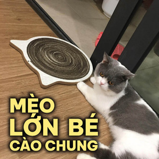 Bàn cào móng thừng BỀN 24 THÁNG NGUYÊN KHỐI tiết kiệm tiền - BCM Mặt mèo 33*33cm