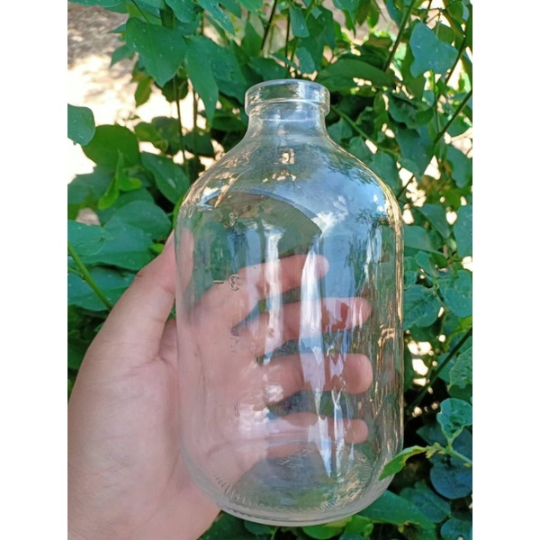Chai lọ thuỷ tinh nuôi cá betta - Bảy màu - Guppy
